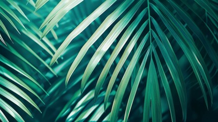 The elegant stripes of a palm leaf present a unique abstract green texture