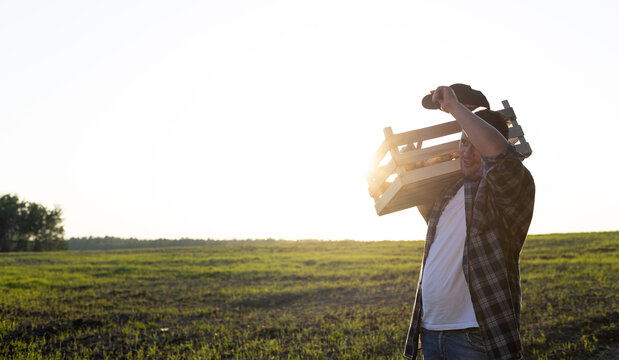 Wiping the floor from his forehead a farmer carries a box of potatoes across the field against the backdrop of the sunset Copy space. The farmer is tired after a day's work in the field. Agriculture.