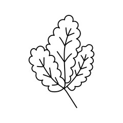 Strawberry leaf. Vector illustration in doodle style.