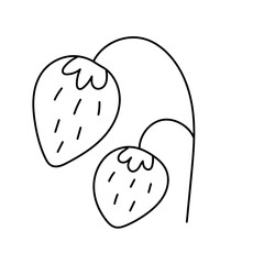 Strawberry. Vector illustration in doodle style