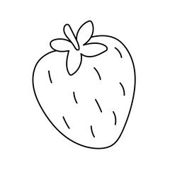 Strawberry. Vector illustration in doodle style