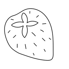 Strawberry. Vector illustration in doodle style