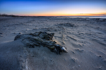 A beautiful sunset on the beach of the Sobieszewo Island at the Baltic Sea at spring. Poland - 764568898
