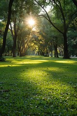 Obraz premium Beautiful landscape of a city park, with beautiful grass, trees and sun