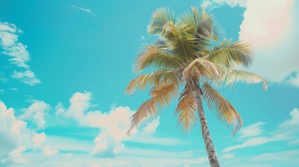 Generative AI : Palm tree on tropical beach with blue sky and white clouds abstract background. 