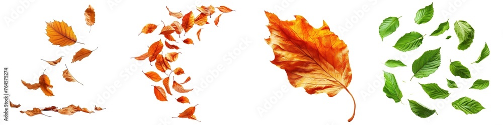 Canvas Prints set of leaves fluttering in wind isolated on transparent background