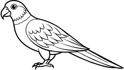 Exquisite Gray Parrot Vector Illustration Stunning Graphics for Your Projects