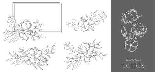Hand Drawn Cotton Flowers Line Art Illustration. Cotton Balls isolated on white. Hand drawn floral frame Cotton Plant Black and white illustration. Fine Line Cotton illustration. 