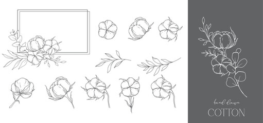 Hand Drawn Cotton Flowers Line Art Illustration. Cotton Balls isolated on white. Hand drawn floral frame Cotton Plant Black and white illustration. Fine Line Cotton illustration. 
