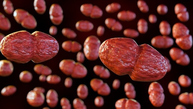 3d rendering of Vancomycin-resistant Enterococcus (VRE) Enterococcus faecalis is a type of bacteria that is resistant to vancomycin