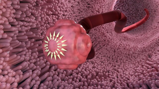 3D Rendering of isolated tapeworm. it is a flat, parasitic worm that lives in the intestines of an animal host