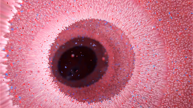 RNA obelisks in digestive tract, conceptual illustration