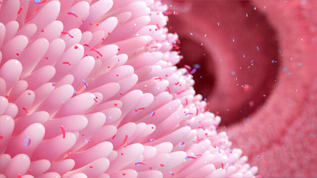 RNA obelisks in digestive tract, conceptual illustration
