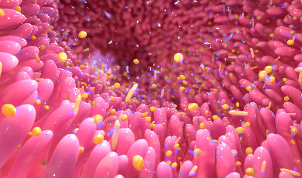 RNA obelisks in digestive tract, conceptual illustration