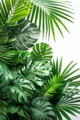 An oasis of indoor serenity with lush tropical foliage, green leaves, and a serene botanical theme.