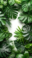 An indoor garden with lush foliage, tropical plants, white backdrop, green design, oxygen-rich space.