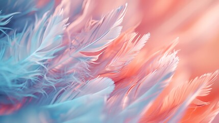 Colorful feathers background. Close up of pink and blue feathers.