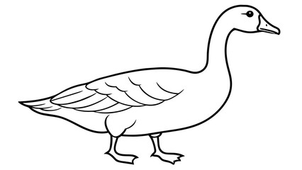 Captivating Goose Vector Illustration Enhance Your Designs with Stunning Artwork
