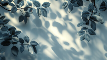 A leafy tree branch casts a shadow on a white background - obrazy, fototapety, plakaty