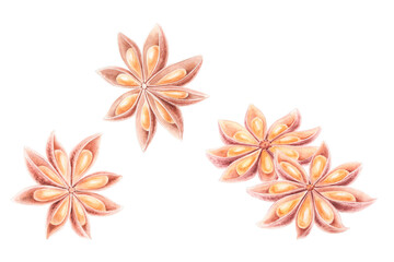 Watercolor illustration of anise Stars isolated on white, hand drawn. Perfect for adding a touch of elegance and flavor to culinary-themed designs or projects.