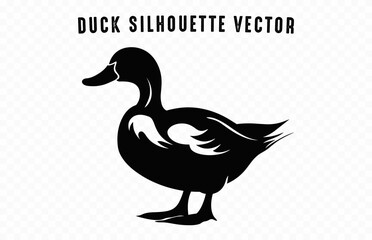 DUCK Vector Graphics