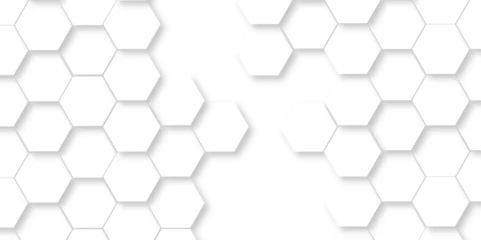 Foto op Plexiglas   Abstract 3d background with hexagons pattern with hexagonal white and gray technology line paper background. Hexagonal vector grid tile and mosaic structure mess cell. white and gray hexagon. © MdLothfor