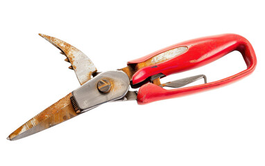 Mastering the Art of Pruning with Pruner Tools