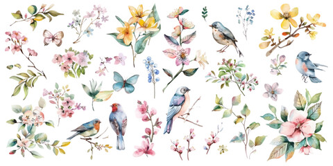 Set of watercolor flowers, birds, butterflies on a white background.