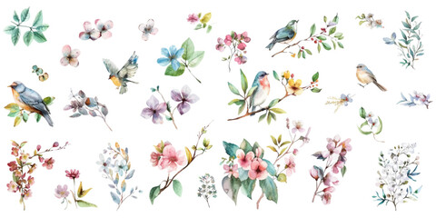 Set of watercolor flowers, birds, butterflies on a white background.