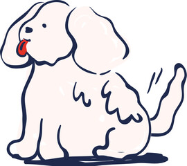Cute maltese dog