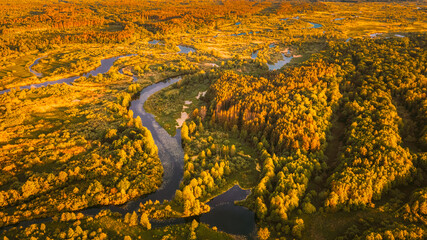 Aerial View Green Forest Woods And River Landscape In Sunny Spring Evening. Top View Of Beautiful European Nature From High Attitude In Summer Season. Drone View. Bird's Eye View. - 764610012