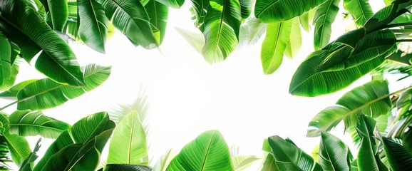 Gordijnen Abstract Beautiful Tropical Green Foliage, HD, Background Wallpaper, Desktop Wallpaper © Moon Art Pic