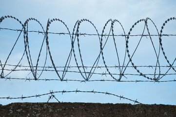 barbed wire Fidget-Alligator against a blue sky