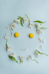 funny face made of flower petals and macaroons on a light blue background. flat look. spring face