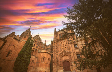 Old Cathedral of Santa Maria de la Sede of Salamanca, Spain - 764614678