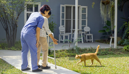 Asian senior woman and caregiver relaxing with cat in backyard. - 764618890