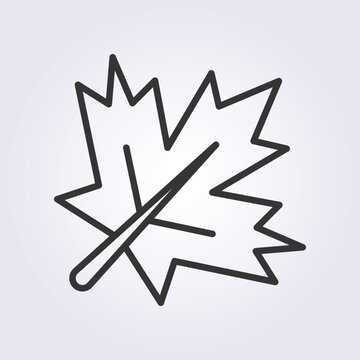 recommend clip art: line icon of maple leaf vector logo design