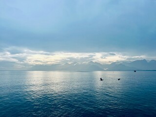 Fantastic seascape background, bright cloudy sky reflection on the blue sea surface, blue sea horizon background