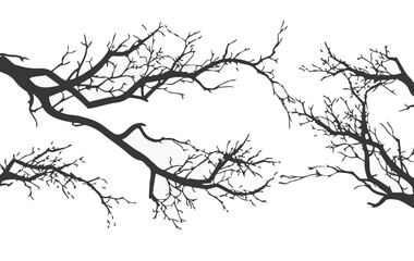 Vector of tree branches on a white background