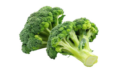 Exploring the Versatility of Broccoli