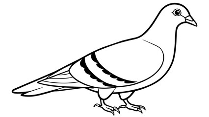 Captivating Pigeon Vector Illustration Enhance Your Design with Stunning Artwork