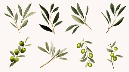 Olive branches with green olives - obrazy, fototapety, plakaty