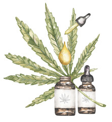 Marijuana and cannabis oil drop watercolor illustration, Green Marijuana Leaves and bootle, Cannabis leaf composition - 764626023