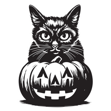 Black cat sitting with halloween pumpkin isolated over white background vector illustration. Witches familiar spirit animal, gothic style card or poster design