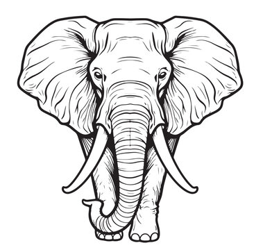 Elephant sketch hand drawn in doodle style Cartoon Vector