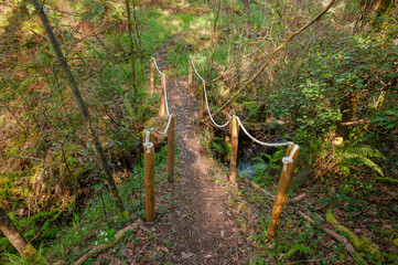 ROUTE OF THE MIDDLE RIVER MILLS, MIÑO,