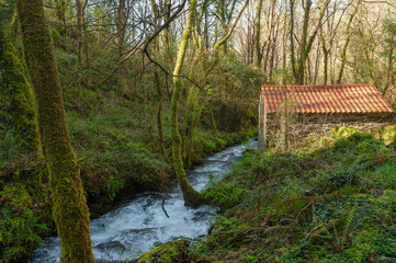 ROUTE OF THE MIDDLE RIVER MILLS, MIÑO,