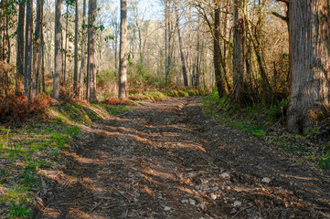 ROUTE OF THE MIDDLE RIVER MILLS, MIÑO,