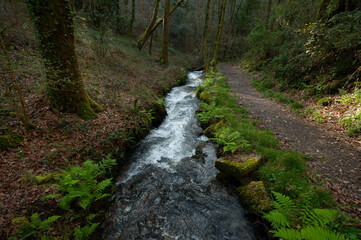 ROUTE OF THE MIDDLE RIVER MILLS, MIÑO,