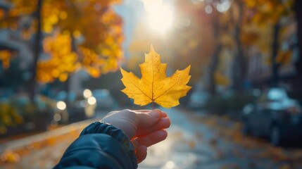 Hand holding a yellow fall leaf close-up in sunlight - obrazy, fototapety, plakaty